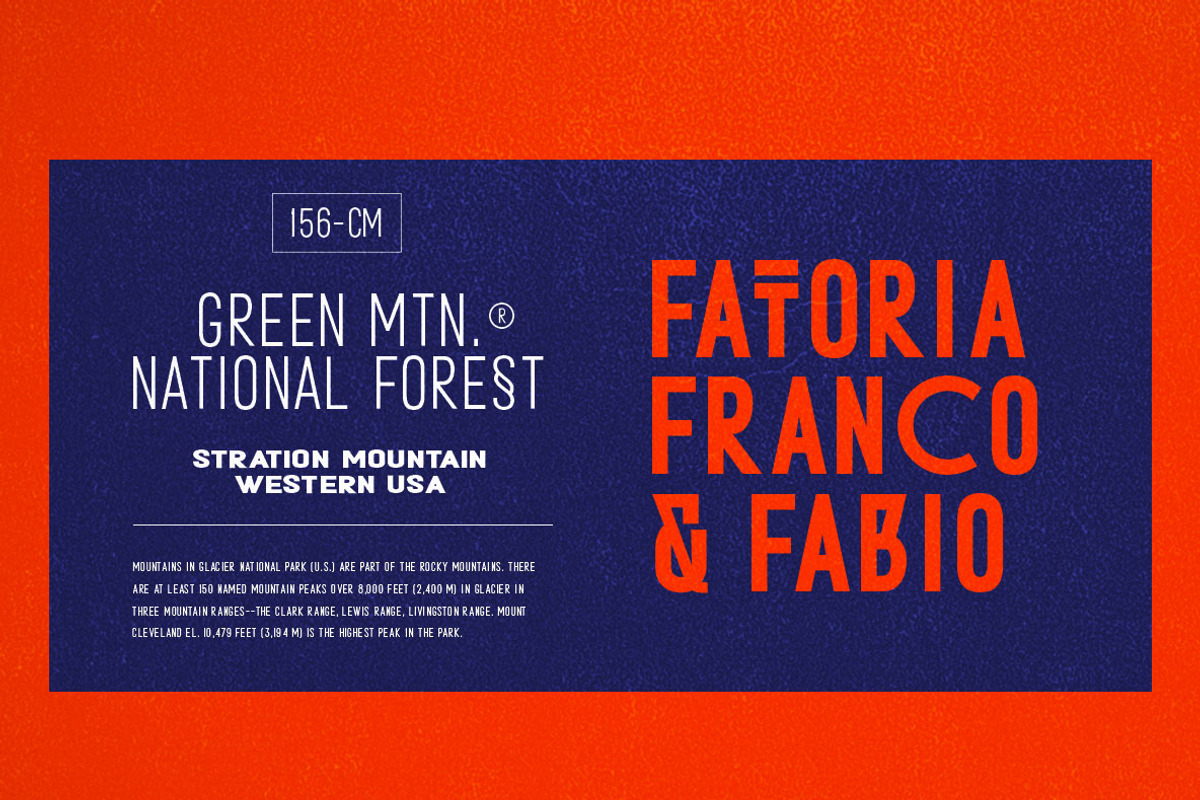 METAFORA SANS - 50% OFF preview 3
