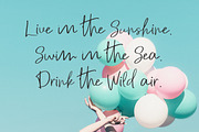 Please Oneself Font Duo, a Script Font by Artstudio (Thumbnail 8 of 13)