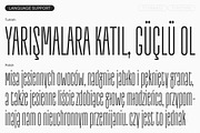 TT Frantz, a Sans Serif Font by TypeType (Thumbnail 8 of 12)