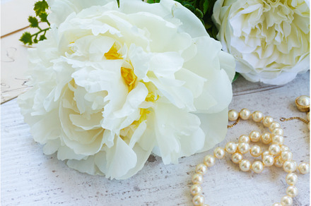 White peony flowers, a Nature Photo by Neirfy