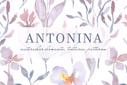 ANTONINA watercolor, a Texture Illustration by Katya_lu (Thumbnail 1 of 12)