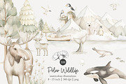 100 polar animal clip art, an Animal Illustration by Poppy Lane Studio (Thumbnail 1 of 12)