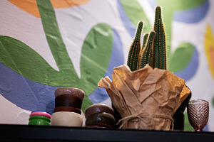 Decorative potted cactus on a shelf with colorful painted wall art, a Photo by AS photostudio