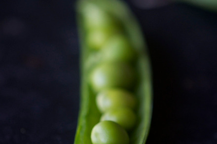 Snow peas stock photo