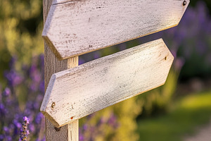 Mockup blank sign in flower garden, a Nature Photo by Virgo Studio