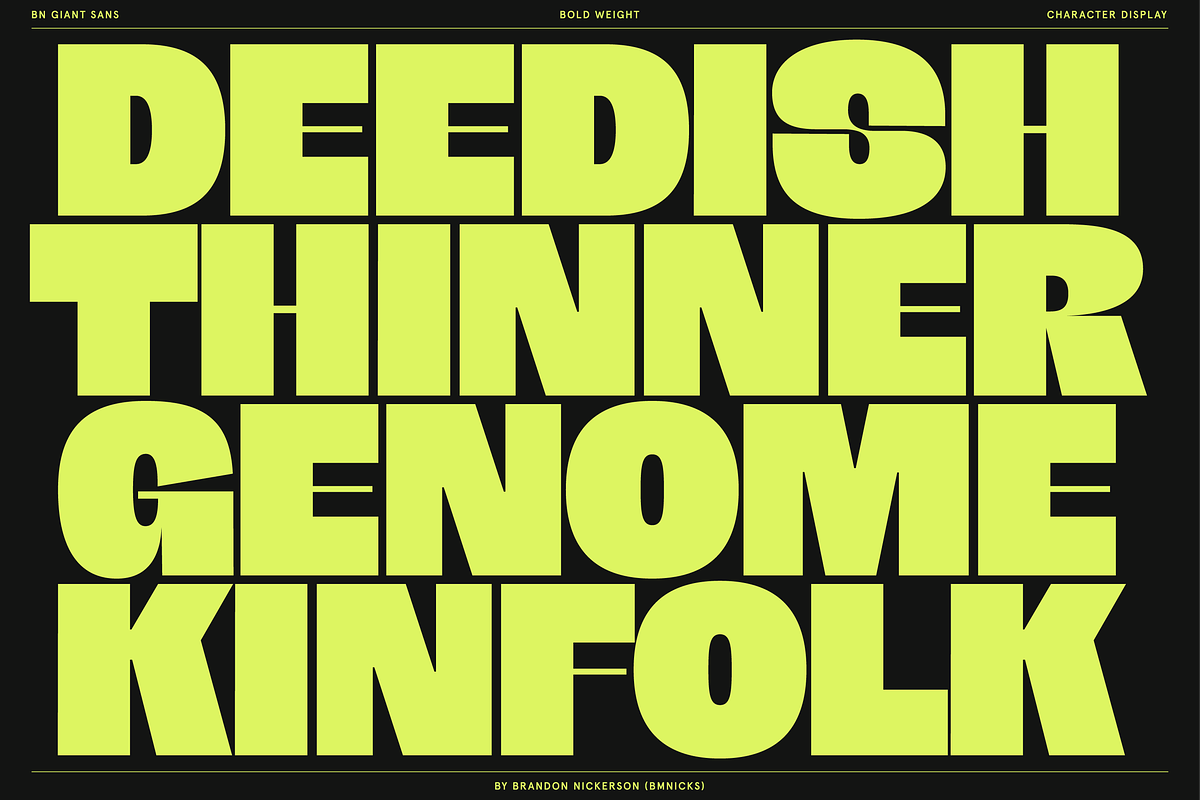 BN Giant, a Sans Serif Font by Bnick (Photo 9 of 19)