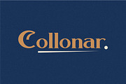 Collonar a vintage serif typeface, a Serif Font by typeline studio (Thumbnail 7 of 7)