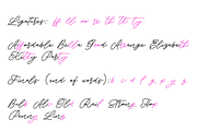 Saturday Champagne, a Script Font by Roland Huse Design (Thumbnail 8 of 11)