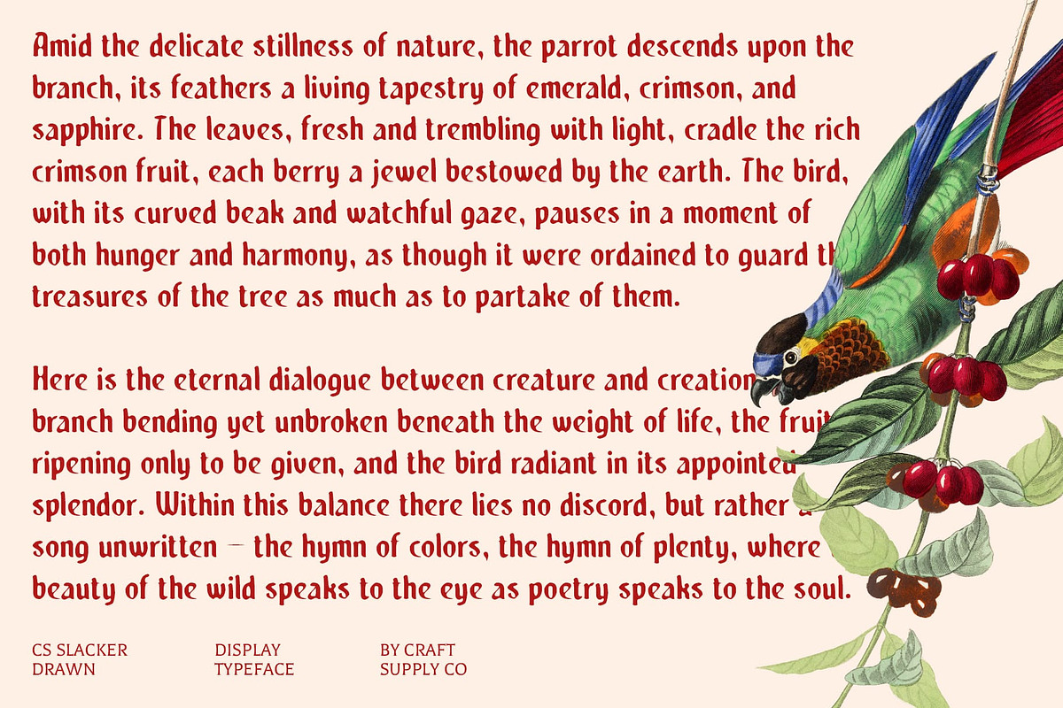 CS Slacker Drawn, a Sans Serif Font by Craft Supply Co. (Photo 5 of 8)