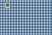 Portugues Inspired Tiles, an Object Graphic by JKD by JenniferKuhrDesign (Thumbnail 6 of 9)