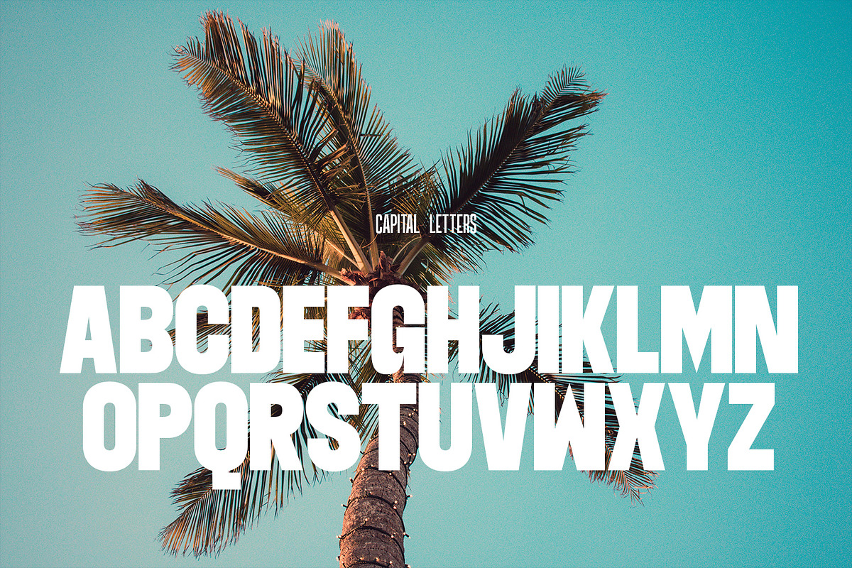 Amontic Display, a Sans Serif Font by Foxtype (Photo 5 of 5)