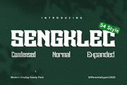Sengklec - Display Family Font, a Serif Font by Differentialtype (Thumbnail 1 of 12)