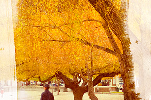 Autumn Painting Man Walking, a Person Photo by THP Creative