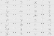Procreate flower stamp, peony brush, a Brush Add-On by AnnaPolitmerskaja (Thumbnail 4 of 5)