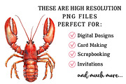 Watercolor Lobster Clipart, an Illustration by OK Design (Thumbnail 4 of 6)