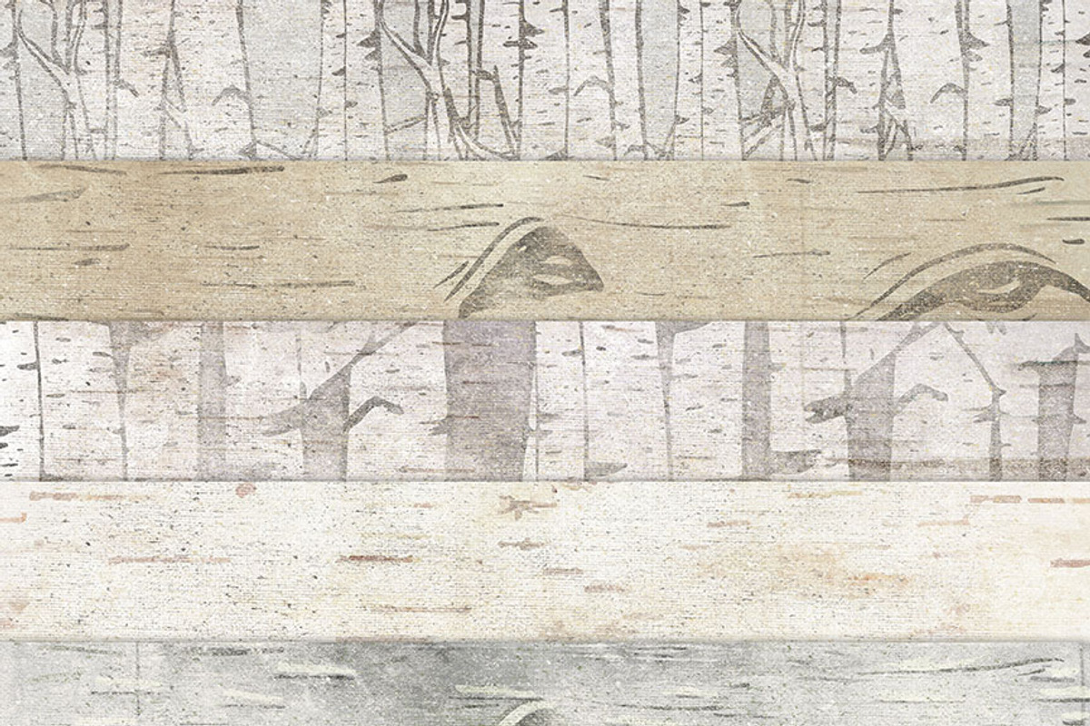 Birch Wood Background Images preview 4