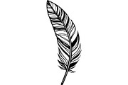 Feather SVG Bundle, an Object Graphic by Designer_Momina (Thumbnail 4 of 18)