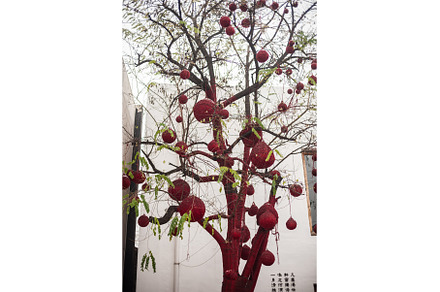 Tree decorated with red balls, the, a Holiday Photo by Elizaveta Galitskaya