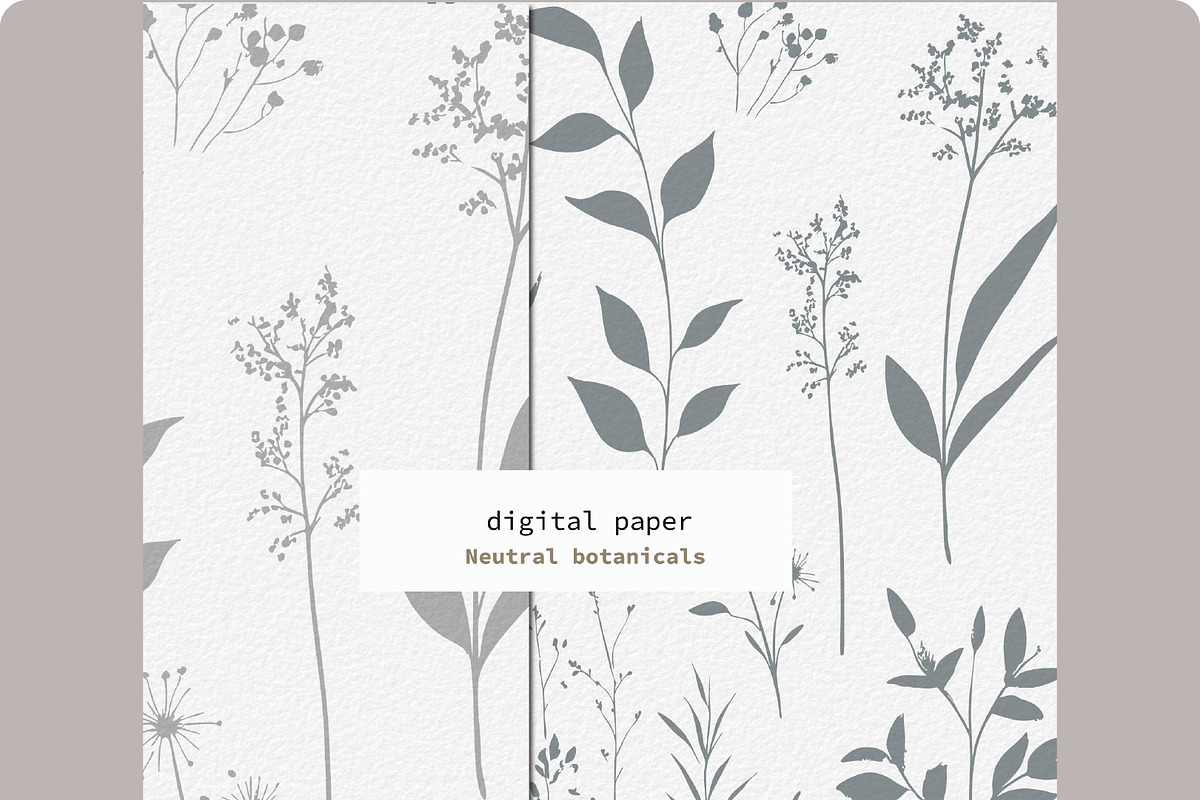 Neutral Botanical Backgrounds, a Background Graphic by Anna Sokol (Photo 5 of 10)