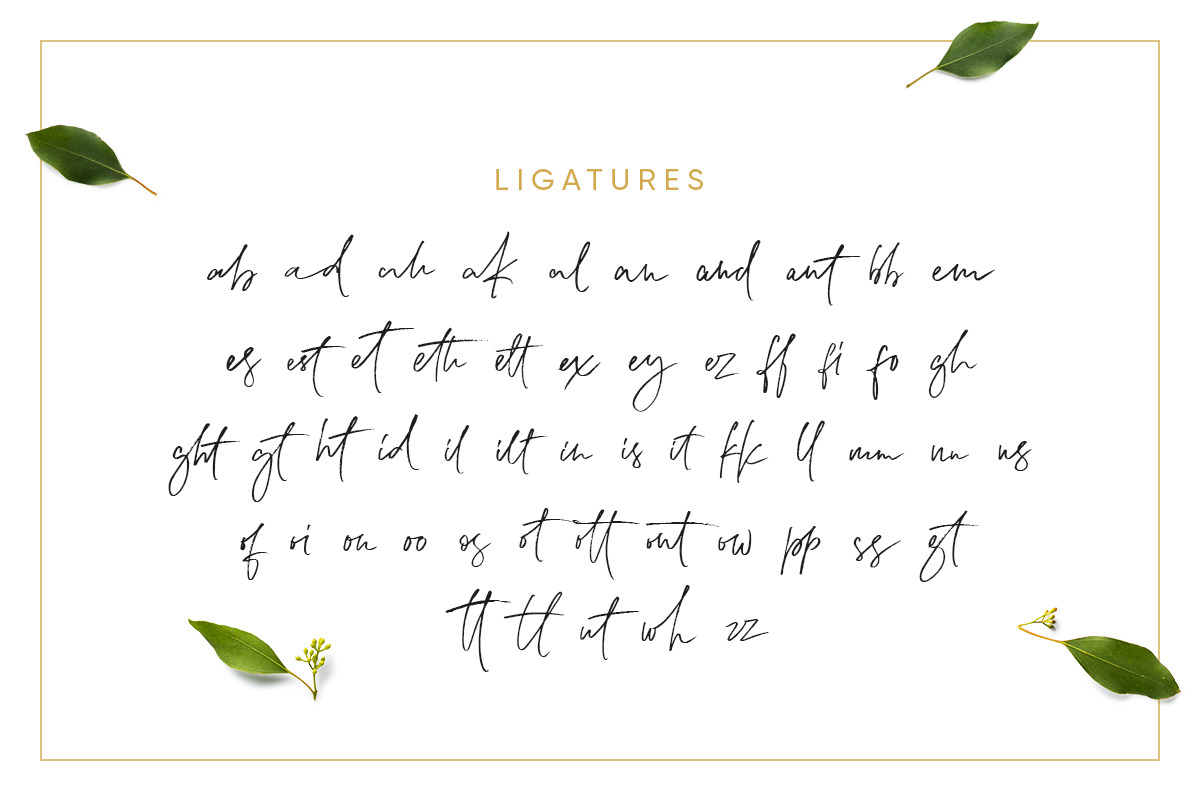 Lemonade Fonts Duo, a Script Font by kavoon (Photo 16 of 20)