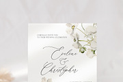 FLORAL WINTER BOX Watercolor Bundle, a Seasonal Illustration by Muse Artist (Thumbnail 93 of 95)