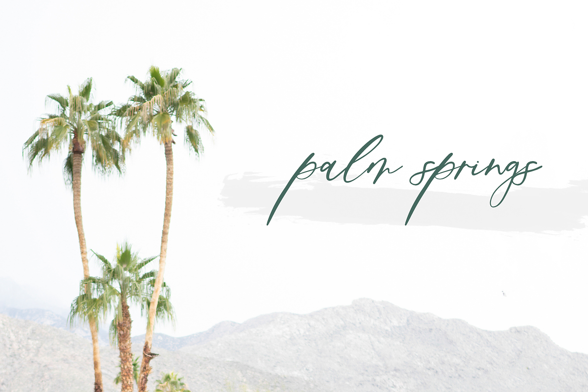 Palm Desert Modern Calligraphy Font preview 3