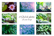 Spa, Organic Cosmetics collection, a Decorative Illustration by WildStrawberry Magic (Thumbnail 5 of 9)