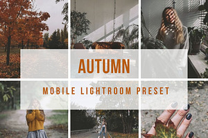 Lightroom Mobile Autumn Preset
