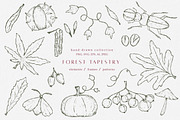 Autumn botanical hand-drawn graphics, a Decorative Illustration by CapriceMeDesigns (Thumbnail 1 of 11)