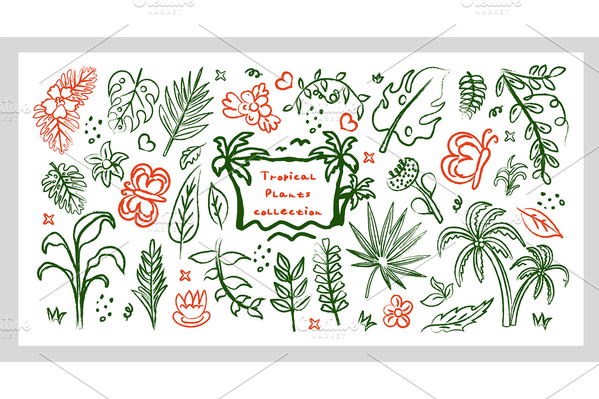 Tropical plant hand drawn line art, an Animal Illustration by Lucia Fox