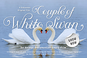 Auntha Clear | Script Font, a Script Font by twinstd (Thumbnail 8 of 13)