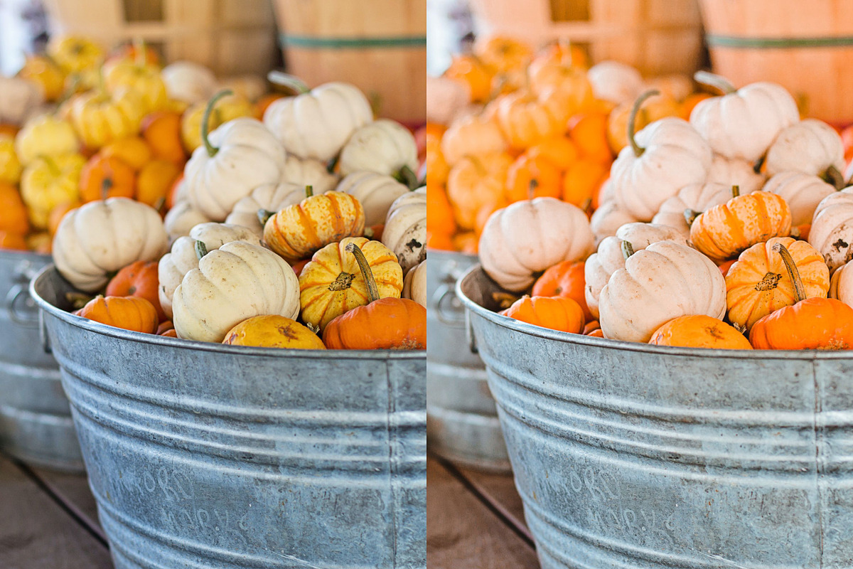 5 PUMPKIN LIGHTROOM PRESETS, an Action Add-On by Emma Kate Creative (Photo 6 of 10)