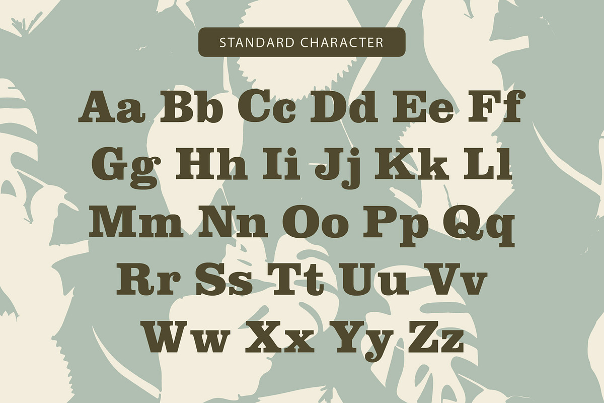 Lousiana Grande - Modern Serif, a Serif Font by Lemon Studio Type (Photo 4 of 7)