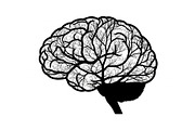 Brain Tree Knowledge Design Bundle, an Illustration by Gaye Art (Thumbnail 14 of 31)