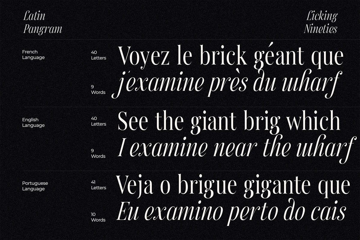 Licking Nineties Serif, a Serif Font by Designsation (Photo 9 of 10)