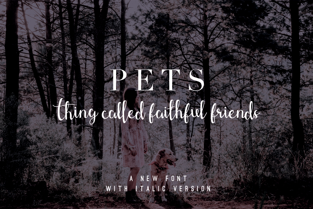 Shefilla - Script Font preview 4