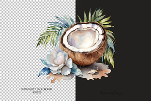 Tropical Coconut