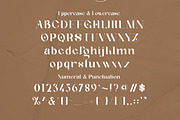 Geyster Modern/Vintage Font, a Serif Font by Lettertype Studio (Thumbnail 7 of 10)