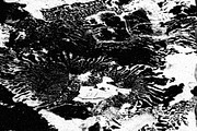 Frenzy Vol 1, a Texture Graphic by Jennifer Lauren Creative (Thumbnail 12 of 16)