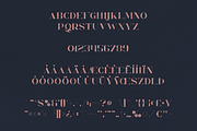 Orphic Typeface - SVG + Solid fonts, a Serif Font by VP Fonts (Thumbnail 8 of 10)