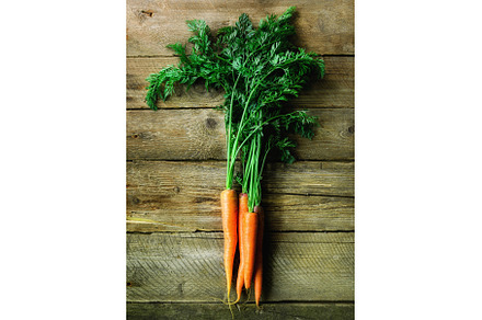 Bunch of fresh organic carrots on a, a Food & Drink Photo by Enjoy Photo