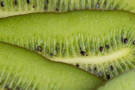 Sliced green ripe kiwi are lying on the table, a Photo by MyPhotos