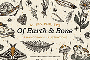 Of Earth & Bone Illustration Pack, an Illustration by cindyroamingdesigns (Thumbnail 1 of 7)