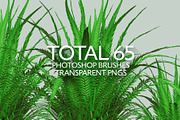 Various Grass Brushes for PS & PNGs, a Brush Add-On by Creative Graphics (Thumbnail 5 of 5)