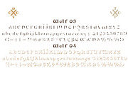 NT Wolf, a Font by NovoTypo (Thumbnail 4 of 5)