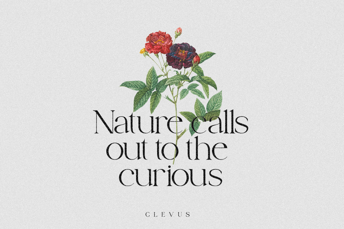 Cotton Kindly - Modern Serif Font, a Serif Font by ClevUs (Photo 2 of 12)