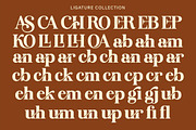Rendey, a Serif Font by Gatype (Thumbnail 5 of 9)