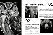 40 Animal Portraits – B&W Collection, an Animal Photo by Virgo Studio (Thumbnail 3 of 6)