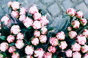Pink Peonies on Cobblestone