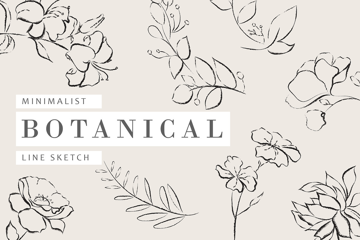 Minimalist Botanical Line Sketches, an Illustration by MYDesign (Photo 1 of 6)